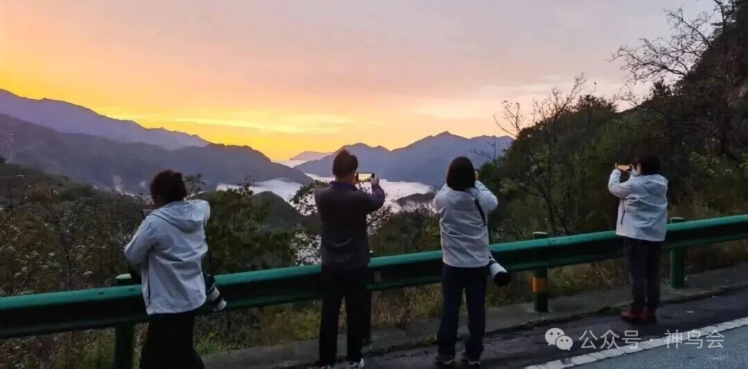 神农架观鸟吟：参加第六届“神农架杯”观鸟活动有感