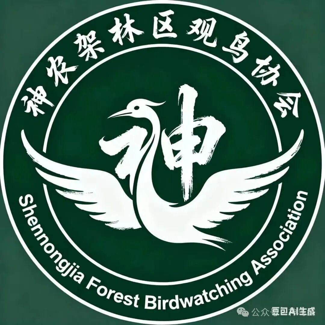 有奖征集“神农架林区观鸟协会”会徽方案！