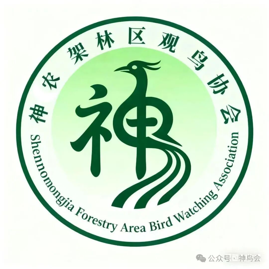 有奖征集“神农架林区观鸟协会”会徽方案！