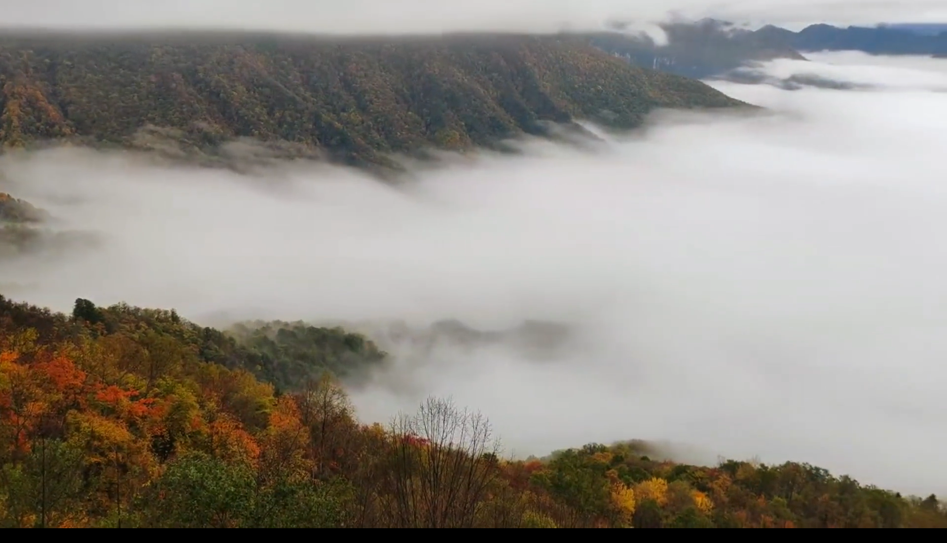 天燕大峡谷鸟的天堂