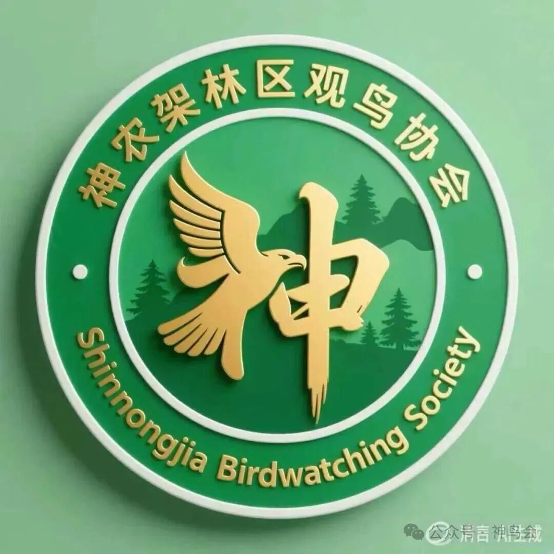 有奖征集“神农架林区观鸟协会”会徽方案！