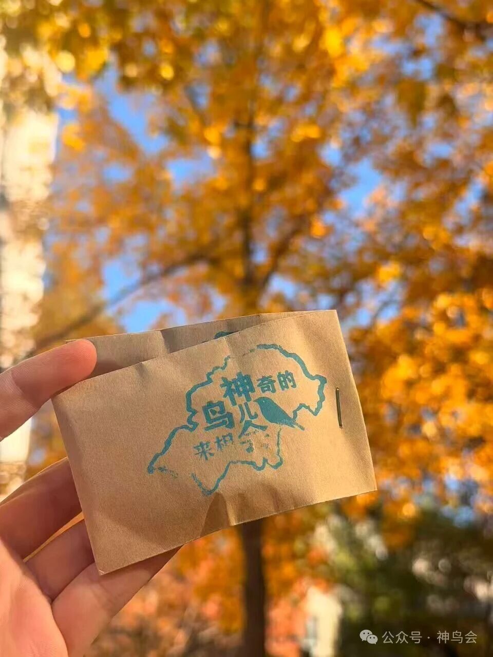 北京：南方鸟儿的相会