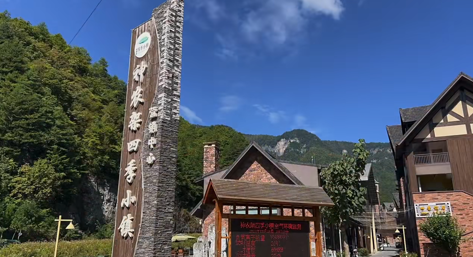 助力2023UTSS神农架森林越野跑，“神鸟会”策划“神奇的鸟儿来相会”主题展