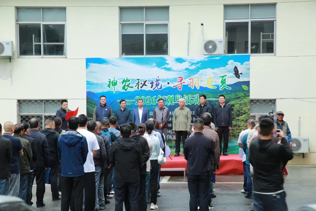 2026年观鸟活动在神农架新华林场正式启动